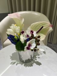 -明潪Selfology升维护理中心