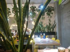 -猫姑娘大盘鸡(商城路店)