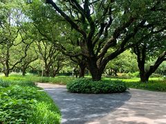-荔香公园