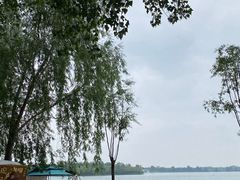 -丁香湖公园