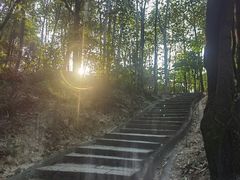 -火炉山森林公园