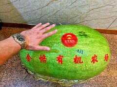 -新疆巴州金丝特餐厅(大钟寺店)