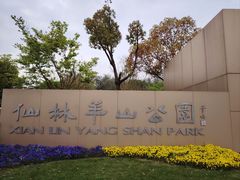 -羊山湖公园