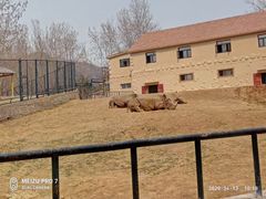 -大连森林动物园