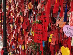 -张钰强中医正骨推拿连锁(唐家人才公寓店)