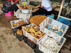-双喜农庄·菌香园(安居家园店)
