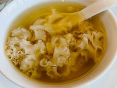 清炖珊瑚菌汤-浦江二号·独栋江景餐厅(滨江大道店)