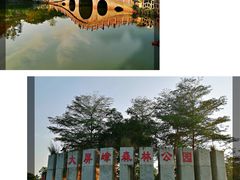 -大屏嶂森林公园