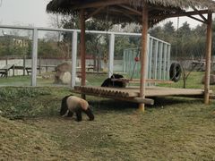 -西安秦岭野生动物园