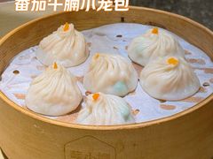 -苏小柳点心·手作小笼包(CP静安寺分院)