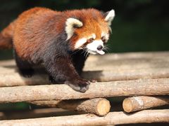 -常州淹城野生动物世界