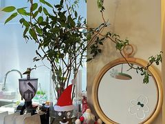 -有猫主题·治愈系猫咖(曾厝垵店)