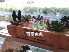 -观心实验室·心理咨询(上海旗舰店)