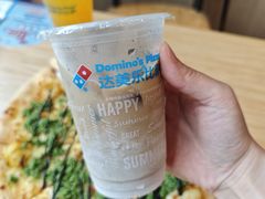 -达美乐比萨(墨玉南路店)