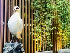 -琬苑鸽庄·川粤融合菜(解放碑总店)