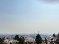 -白水寺森林公园