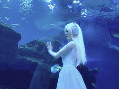 -成都浩海立方海洋公园