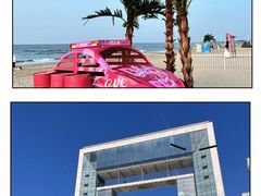 -日照海滨国家森林公园