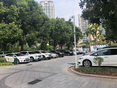 -棕榈泉国际高尔夫学院