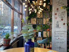 -ZING COFFEE 镜咖啡
