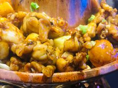 -老佛爷蛙锅•鲜蛙煲(麦凯乐店)