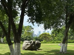 -广西壮族自治区药用植物园