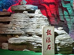 -贝壳梦幻世界