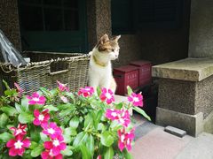 -巴金故居
