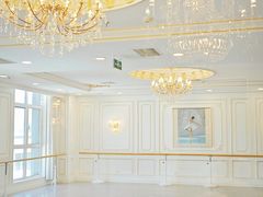 -芭蕾仙子 FairyBallet 少儿芭蕾舞蹈中心(丽都旗舰店)