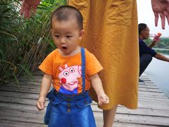 -白洋淀锅里口灶台鱼