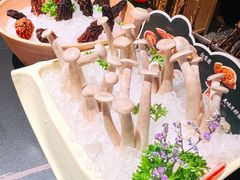 -季季山•云南野生菌火锅(上海首店)