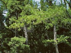 -白塘生态植物园