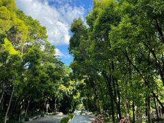 -深圳国际园林花卉博览园