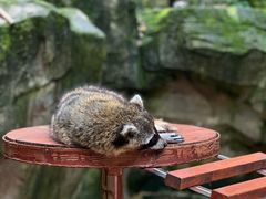 -杭州野生动物世界