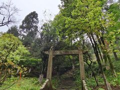 -莫干山风景区