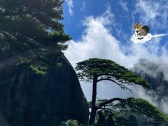 -罗红摄影艺术馆