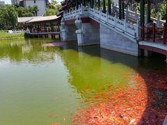 -西海子公园