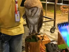 -清迈夜间动物园