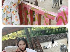 -贵州森林野生动物园