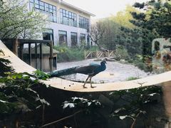 -苏州环秀晓筑养生度假村