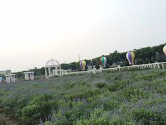 -广州花之恋城堡酒店