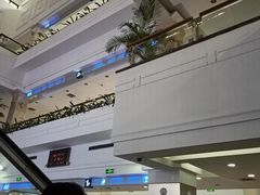 -上海市东方医院(总院)
