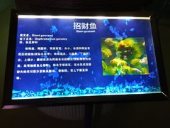 -福州罗源湾海洋世界旅游区