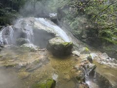 -牛背梁国家森林公园