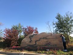 -呼兰河口湿地公园