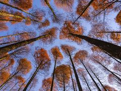 -山王坪喀斯特国家生态公园