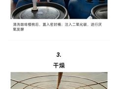 -Again Coffee Roaster(香蜜湖店)