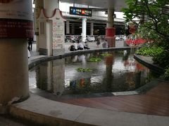 -厦门高崎国际机场-T3航站楼