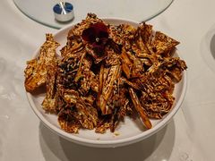 -顺平人家
