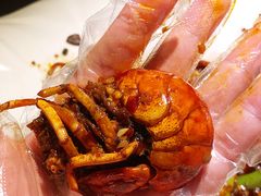 招牌小青龙-麻辣-虾胡闹·澳洲小龙虾·烧烤(福田鲨鱼店)